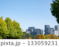 紅葉する街路樹と丸の内の高層ビル群の風景 紅葉する街路樹と丸の内の高層ビル群の風景 133059231
