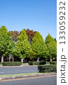 紅葉する街路樹の風景 紅葉する街路樹の風景 133059232