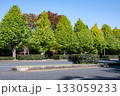 紅葉する街路樹の風景 紅葉する街路樹の風景 133059233