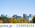 紅葉する街路樹と丸の内の高層ビル群の風景 紅葉する街路樹と丸の内の高層ビル群の風景 133059234