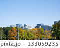紅葉する街路樹と丸の内の高層ビル群の風景 紅葉する街路樹と丸の内の高層ビル群の風景 133059235