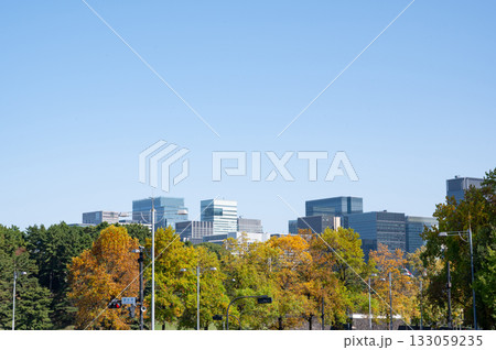 紅葉する街路樹と丸の内の高層ビル群の風景 133059235