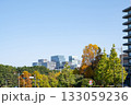紅葉する街路樹と丸の内の高層ビル群の風景 紅葉する街路樹と丸の内の高層ビル群の風景 133059236