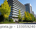 官庁街の高層ビルと紅葉する街路樹の風景 官庁街の高層ビルと紅葉する街路樹の風景 133059240