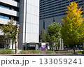 官庁街の高層ビルと紅葉する街路樹の風景 官庁街の高層ビルと紅葉する街路樹の風景 133059241