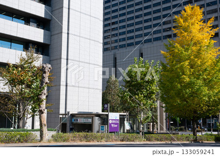官庁街の高層ビルと紅葉する街路樹の風景 官庁街の高層ビルと紅葉する街路樹の風景 133059241