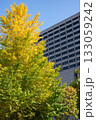 官庁街の高層ビルと紅葉する街路樹の風景 官庁街の高層ビルと紅葉する街路樹の風景 133059242