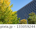 官庁街の高層ビルと紅葉する街路樹の風景 官庁街の高層ビルと紅葉する街路樹の風景 133059244