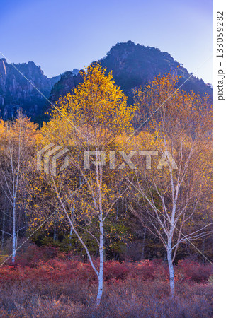 【山梨県】朝の光が眩しい瑞牆山(みずがき山)自然公園から、瑞牆山 【山梨県】朝の光が眩しい瑞牆山(みずがき山)自然公園から、瑞牆山 133059282