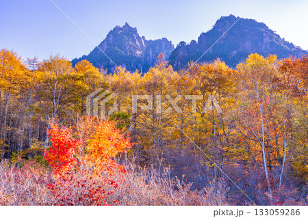 【山梨県】朝の光が眩しい瑞牆山（みずがき山）自然公園から、瑞牆山 133059286