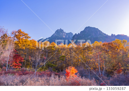 【山梨県】朝の光が眩しい瑞牆山（みずがき山）自然公園から、瑞牆山 133059287