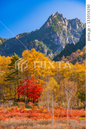 【山梨県】朝の光が眩しい瑞牆山（みずがき山）自然公園から、瑞牆山 133059290