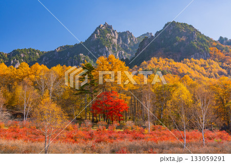 【山梨県】朝の光が眩しい瑞牆山（みずがき山）自然公園から、瑞牆山 133059291