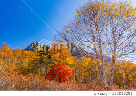 【山梨県】朝の光が眩しい瑞牆山（みずがき山）自然公園から、瑞牆山 133059298