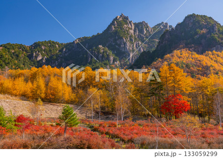 【山梨県】朝の光が眩しい瑞牆山（みずがき山）自然公園から、瑞牆山 133059299