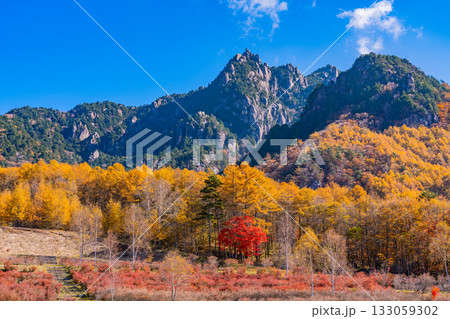 【山梨県】朝の光が眩しい瑞牆山(みずがき山)自然公園から、瑞牆山 【山梨県】朝の光が眩しい瑞牆山(みずがき山)自然公園から、瑞牆山 133059302