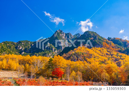 【山梨県】朝の光が眩しい瑞牆山（みずがき山）自然公園から、瑞牆山 133059303