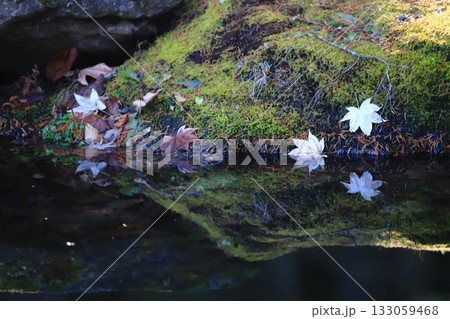 秋のイメージ　水面に写る落葉と苔むす岩 133059468