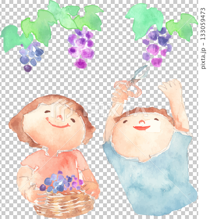 兒童採摘葡萄的插圖 133059473