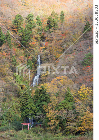 日本の滝百選　白糸の滝　秋　山形県 133059503