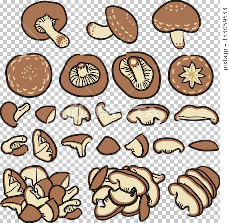 Hand-drawn style shiitake mushroom cut Hand-drawn style shiitake mushroom cut 133059533