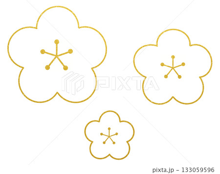 白い梅の花のイラスト・ 金縁シンプルかわいいお正月飾り素材 白い梅の花のイラスト・ 金縁シンプルかわいいお正月飾り素材 133059596