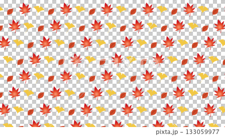 秋の紅葉とイチョウの落ち葉パターン背景素材 133059977