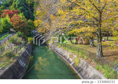 秋の琵琶湖疏水　第二トンネル入口付近　京都市 133060231