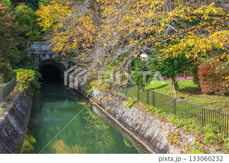 秋の琵琶湖疏水 第二トンネル入口付近 京都市 秋の琵琶湖疏水 第二トンネル入口付近 京都市 133060232
