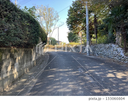 緩やかな坂道の木漏れ日 緩やかな坂道の木漏れ日 133060804