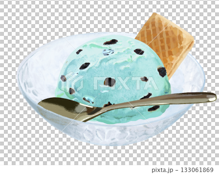Chocolate chip ice cream (chocolate mint) with bowl and spoon 133061869