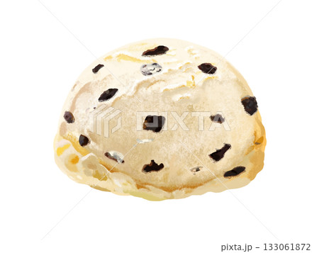 チョコチップアイス（バニラ） 133061872