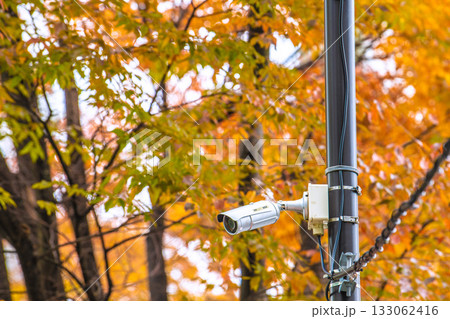 日本の東京都市景観 街角の防犯カメラ。紅葉…（防犯カメラ作動中　不審者を見かけたら警察…）＝横浜市内 133062416