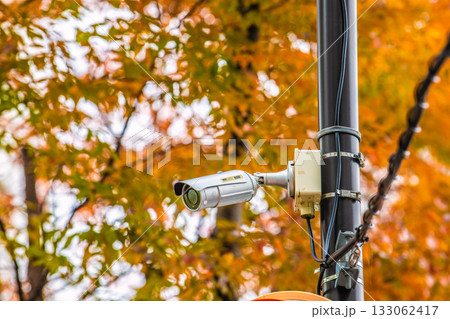 日本の東京都市景観 街角の防犯カメラ。紅葉…(防犯カメラ作動中 不審者を見かけたら警察…)=横浜市内 日本の東京都市景観 街角の防犯カメラ。紅葉…(防犯カメラ作動中 不審者を見かけたら警察…)=横浜市内 133062417