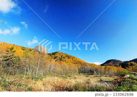 志賀高原の素晴らしい紅葉 133062696