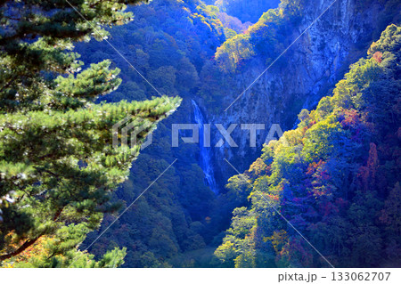 志賀高原の素晴らしい紅葉 133062707