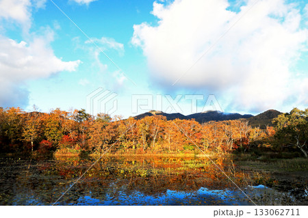 志賀高原の素晴らしい紅葉 志賀高原の素晴らしい紅葉 133062711