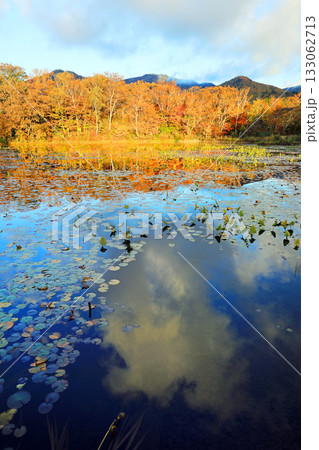 志賀高原の素晴らしい紅葉 133062713
