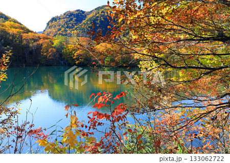 志賀高原の素晴らしい紅葉 133062722