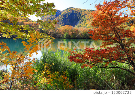 志賀高原の素晴らしい紅葉 志賀高原の素晴らしい紅葉 133062723