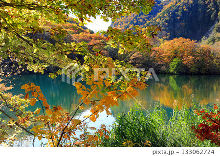 志賀高原の素晴らしい紅葉 志賀高原の素晴らしい紅葉 133062724