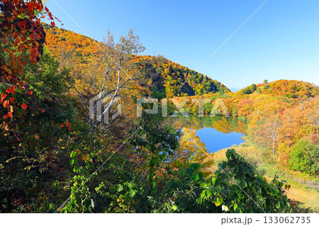 志賀高原の素晴らしい紅葉 133062735