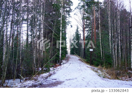 Helsinki, Finland, Winter, Christmas, 街並み Helsinki, Finland, Winter, Christmas, 街並み 133062843