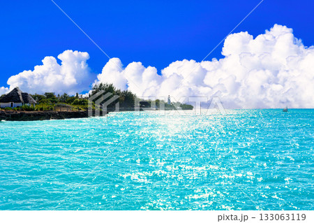 ザンジパルリゾートの美しいサンゴ礁の海 133063119