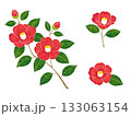 水彩風の椿の花 133063154