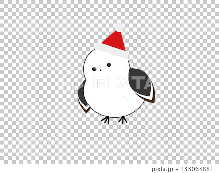 Illustration of a long-tailed tit wearing a Christmas hat 133063881