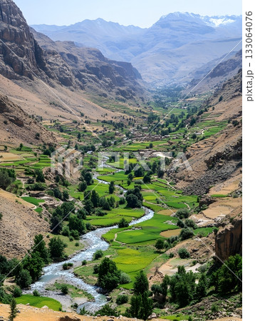 Verdant Valley Vista: Lush Terraces and River Winding Through Atlas Mountains 133064076