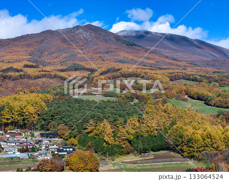 浅間山山麓の美しい紅葉と剣ヶ峰・冠雪した前掛山　長野県御代田町（ドローンによる空撮） 133064524