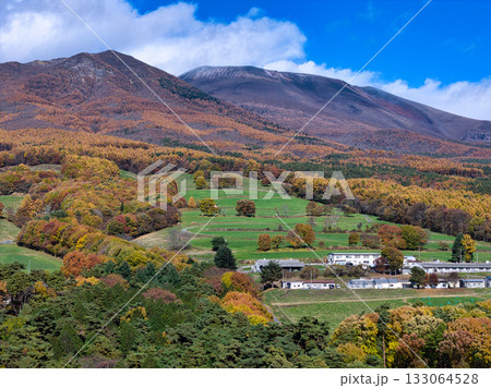 浅間山山麓の美しい紅葉と剣ヶ峰・冠雪した前掛山　長野県御代田町（ドローンによる空撮） 133064528