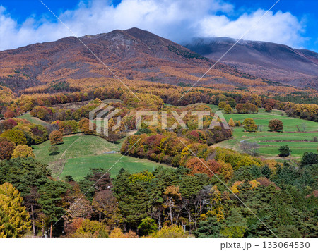 浅間山山麓の美しい紅葉と剣ヶ峰・冠雪した前掛山　長野県御代田町（ドローンによる空撮） 133064530
